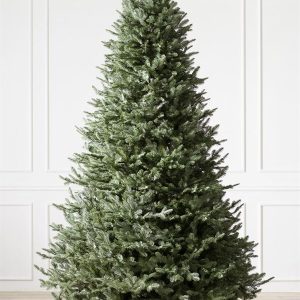 BH Balsam Fir® Trees