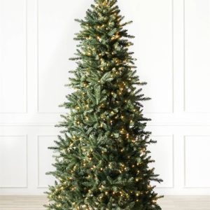 Berkshire Mountain Fir® Trees